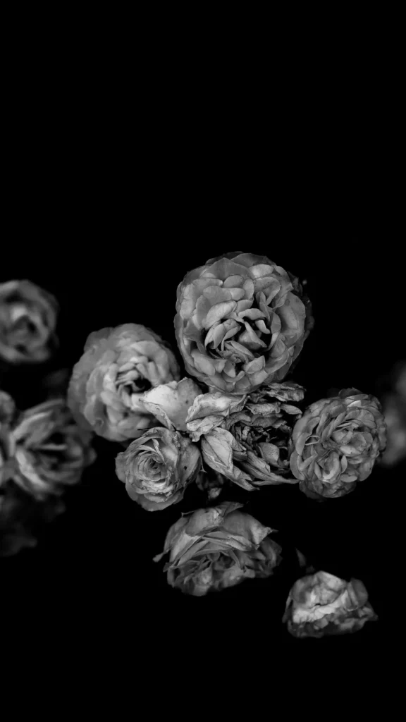 Photographe Entreprises Limoges Limousin Haute Vienne Entreprise Sarah Escola 18 1