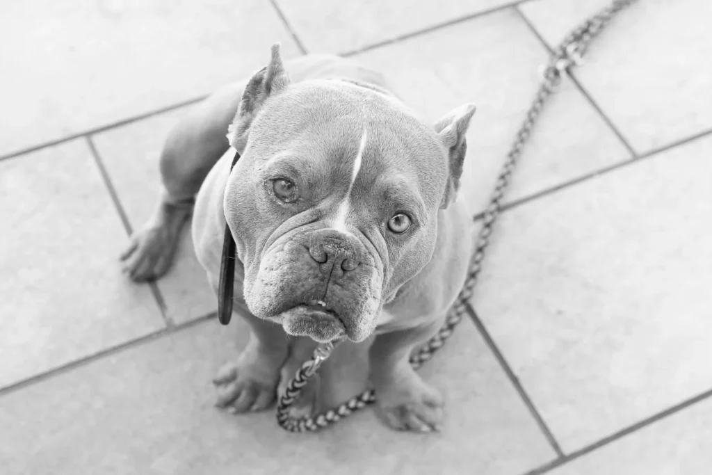 Photographe Entreprises Limoges Limousin Haute Vienne Entreprise Sarah Escola 9