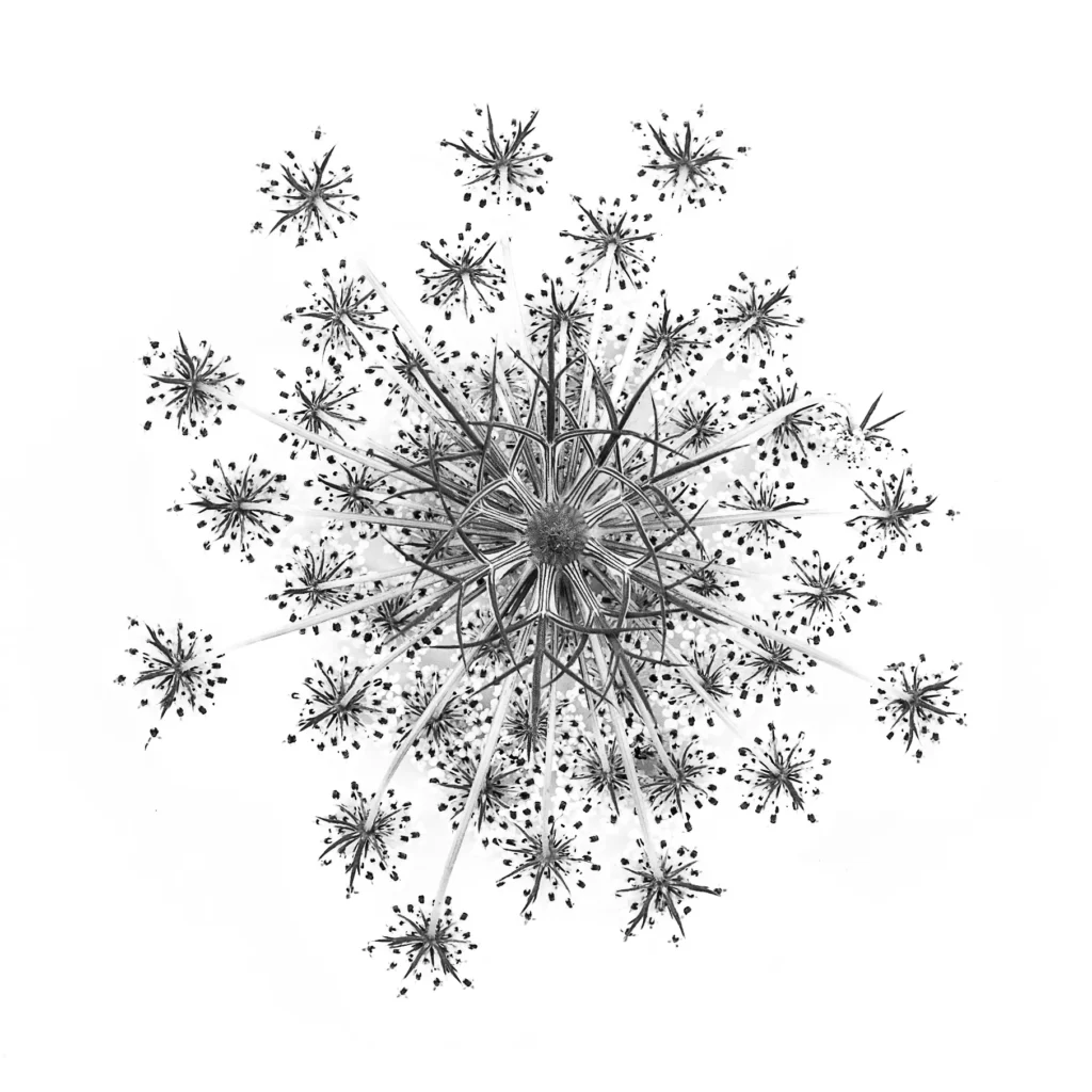 Photographe Entreprises Limoges Limousin Haute Vienne Entreprise Sarah Escola 71