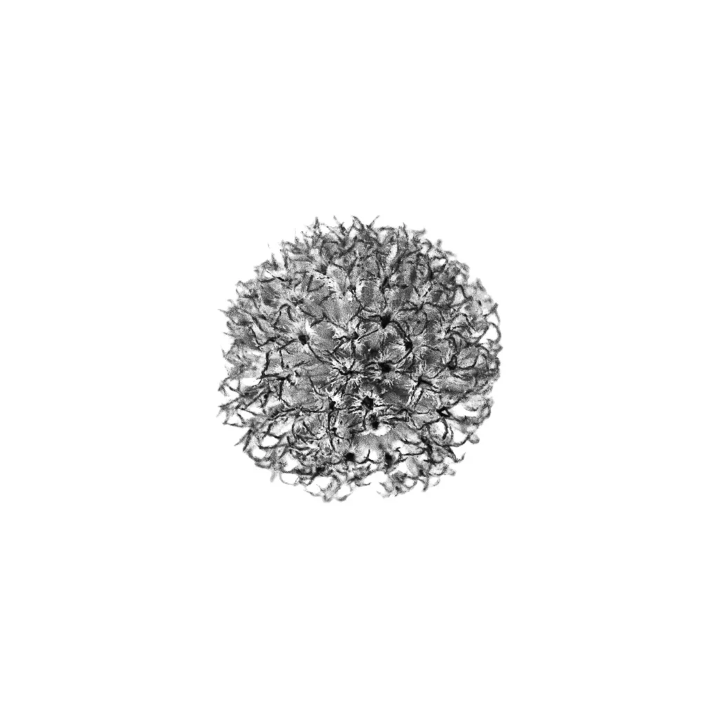 Photographe Entreprises Limoges Limousin Haute Vienne Entreprise Sarah Escola 74