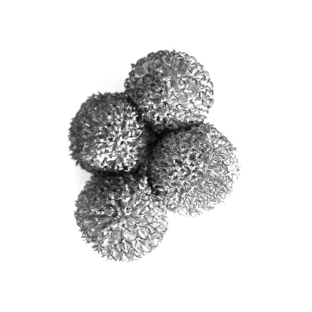 Photographe Entreprises Limoges Limousin Haute Vienne Entreprise Sarah Escola 75